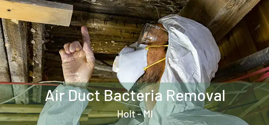  Air Duct Bacteria Removal Holt - MI