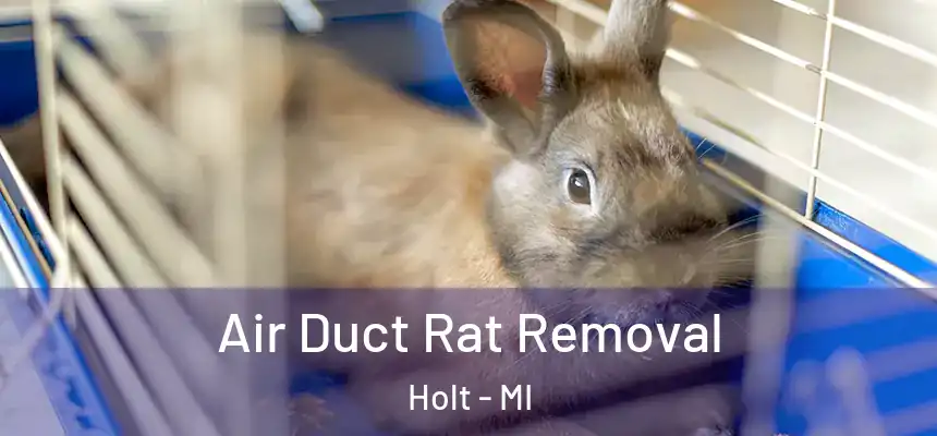  Air Duct Rat Removal Holt - MI