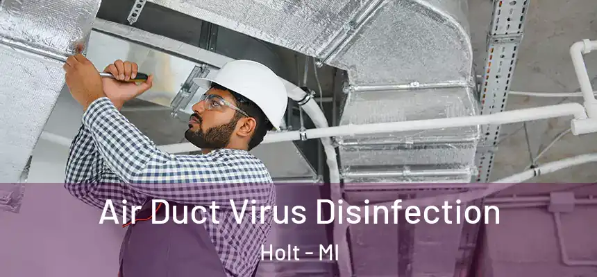 Air Duct Virus Disinfection Holt - MI