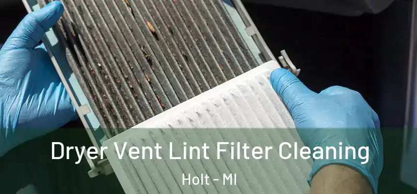 Dryer Vent Lint Filter Cleaning Holt - MI