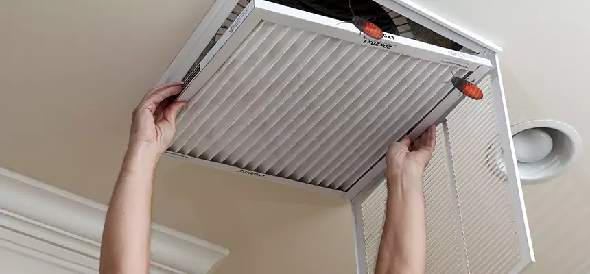 Preventive Cockroach-Proofing for Ducts in Holt