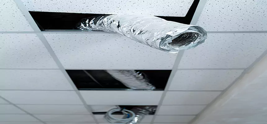 Our Air Duct Pet Hair Removal Services in Holt, MI