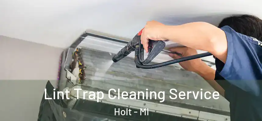  Lint Trap Cleaning Service Holt - MI