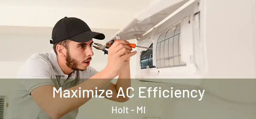  Maximize AC Efficiency Holt - MI