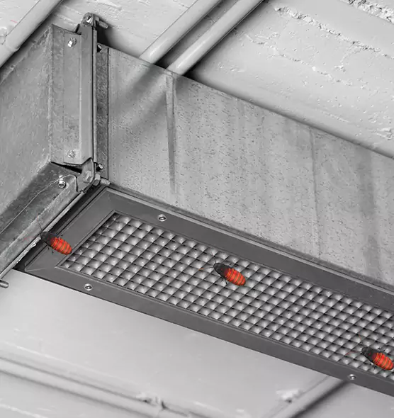 About Air Duct Cockroach Removal in Holt, MI