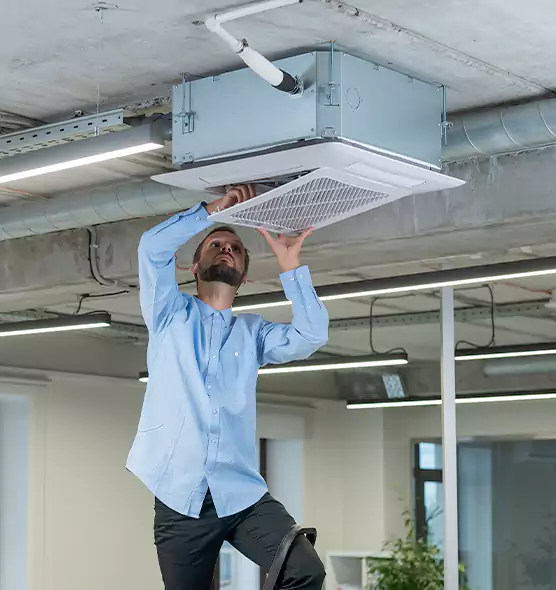 Advanced Rodent Droppings In Vents in Holt, MI