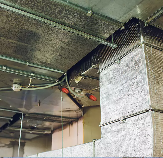 Why Homeowners & Businesses Trust Us Holt, MI?