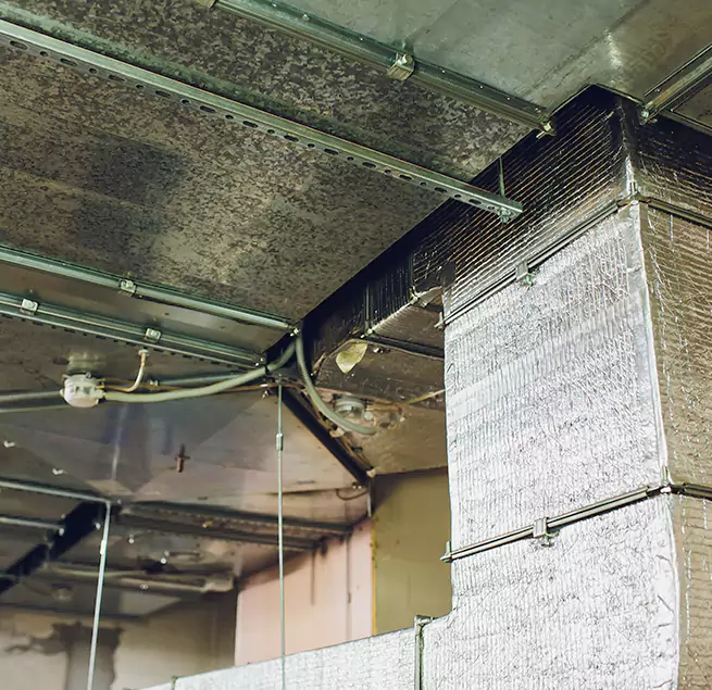 Why Homeowners & Businesses Trust Us in Holt, MI?