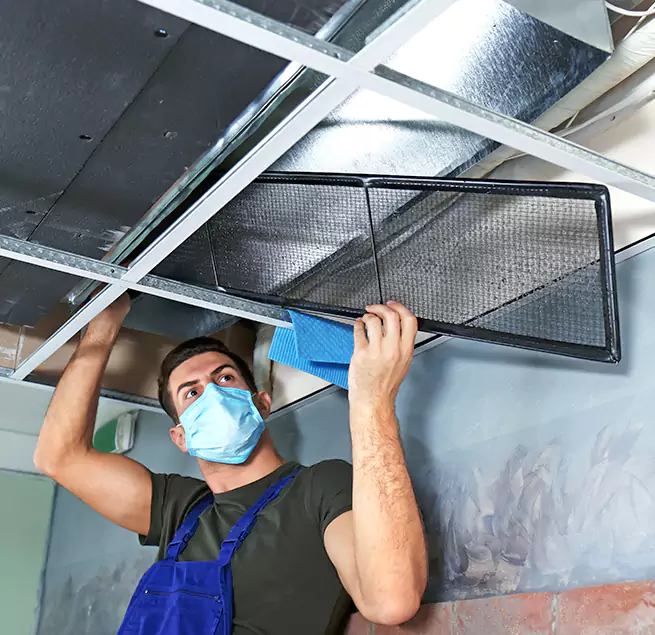  Why Homeowners Businesses Trust Us  in Holt, MI?