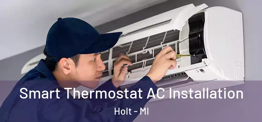  Smart Thermostat AC Installation Holt - MI